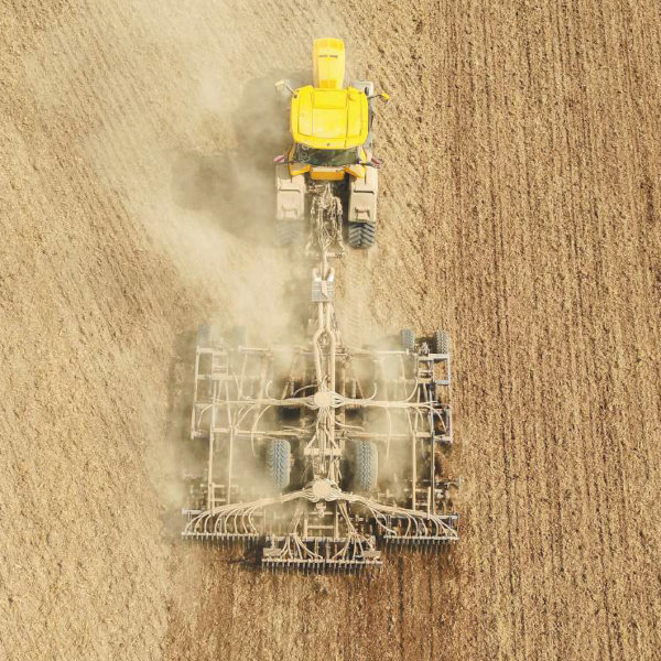 FrankOriginal Katalog